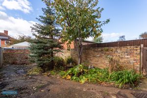 Garden- click for photo gallery